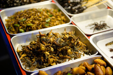 Exotic food in Khao San road at night in Bangkok city, Thailand, Holidays and traveling concept