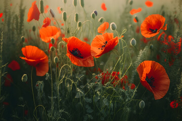 Obraz premium Red poppy in a green grass field, Beautiful spring landscape. Generative AI