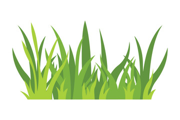 Green grass Illustration. Green lawn, flower, natural borders, herbs. Flat vector illustrations for spring, summer, nature, ground, plants concept.