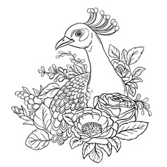 Peacock bird in flowers. Hand drawn vector linen illustration coloring book, greeting card