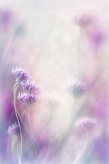 Delicate purple wildflowers with a hazy effect, fitting for subtle design backgrounds or soft floral layouts.