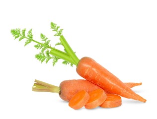 Carrot isolated on white background