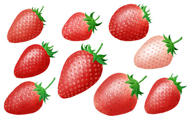いちご・苺・イチゴ品種色々 白背景 イラスト素材 差分あり  とちおとめ あまおう 紅ほっぺ スカイベリー 淡雪