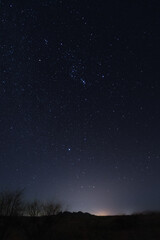 Naklejka na ściany i meble The Orion Nebula on a field of stars in the night sky.