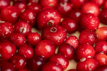 fresh ripe cranberries with drops of pure water