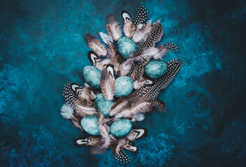 Easter blue eggs with colorful bird feathers on blue background, top view