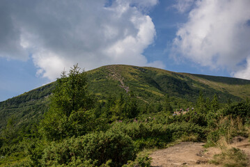 Fototapeta na wymiar Carpathian Majesty: Hoverla Mountain and Surrounding Natural Wonders