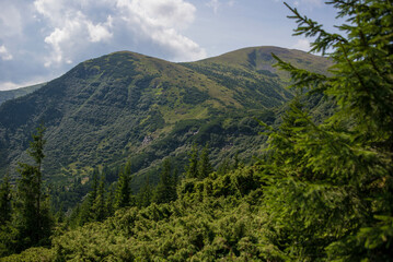 Carpathian Majesty: Hoverla Mountain and Surrounding Natural Wonders