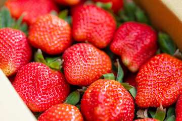 Perfectly ripe strawberries in a simple box
