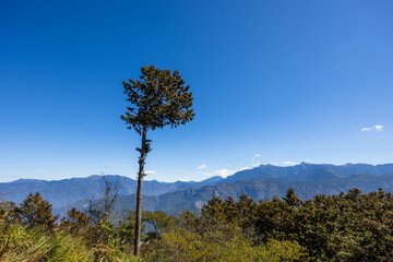 Fototapeta na wymiar Blue sky over the mountain in Alishan of Taiwan