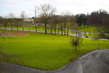 Park in autumns with trees with no leafs but very green lawn