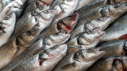 Fish on ice at fish market. Group of raw fresh fish on market stall. Seafood concept. High angle view. Selective focus.