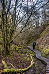 Fosdalen wanderway footpath iceage landscape in Thy, Denmark