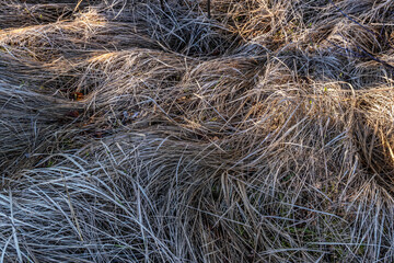 Fosdalen wanderway footpath iceage landscape in Thy, Denmark