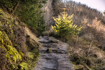 Fosdalen wanderway footpath iceage landscape in Thy, Denmark