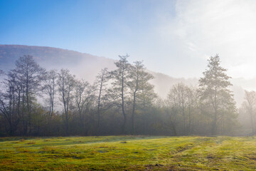 countryside landscape in mountains at sunrise. fog rolling in the rural valley among the trees on a grassy meadow in morning light. wonderful autumn nature scenery on a sunny weather day