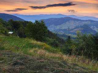 morning view of rural fields and mountains. picturesque scenery of ukrainian carpathians