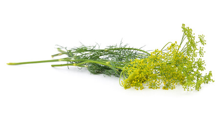 Dill with flower.