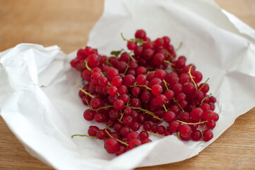 Fresh from the garden: red currant