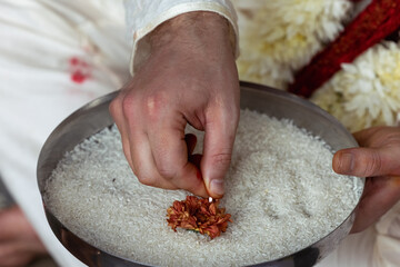 Close-up of a hand. At an international wedding, a fair-skinned man in the Hindu tradition performs a wedding ritual with white rice. Rice is a symbol of fertility in Asia,