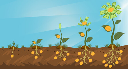 Five stages of growing a money flower with roots on a sky background