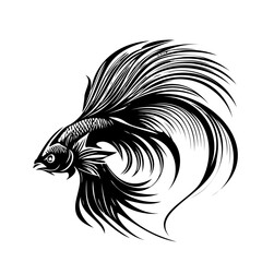 Betta fish vector illustration, fighting fish logo design