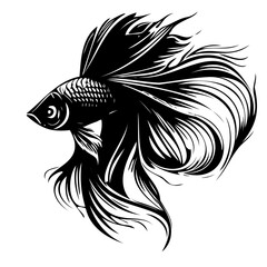 Betta fish vector illustration, fighting fish logo design