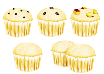 蒸しパン カップケーキ(チョコチップ レーズン サツマイモ プレーン)