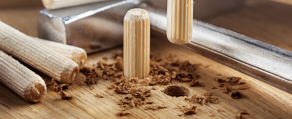 Two wooden dowel for fastening oak plank. Timber industry.