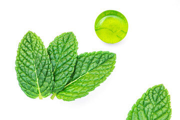 Green mint  candy isolated on white background. Menthol candy with  mint leaves, creative layout. Top view. Flat lay.