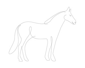 Horse one line illustration. Single line. Household animals line art vector.