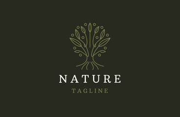 Line art tree logo design. tree and root vector template