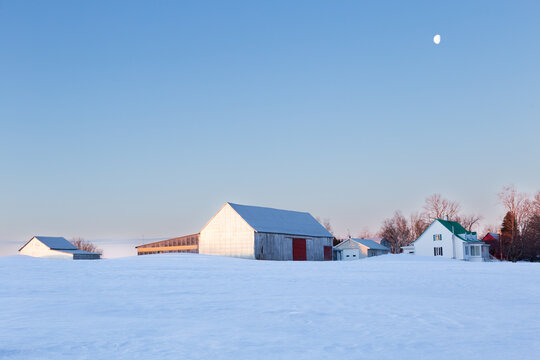 Pretty winter landscape with farm barns and house in snowy field seen at dawn, Beaumont, Bellechasse County, Quebec, Canada