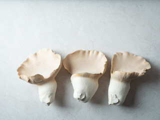 the emperor of mushroom ,emperor mushroom	