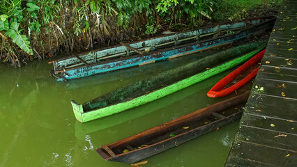 Colorful boats in Limoncocha Biological Reserve. Lagoon of Limoncocha, biological reserve.