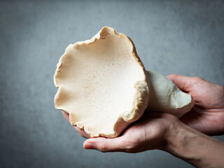 the emperor of mushroom ,emperor mushroom	