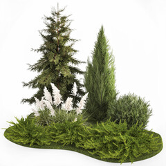 3D illustration Garden of thuja and cypress trees with pampas grass bushes