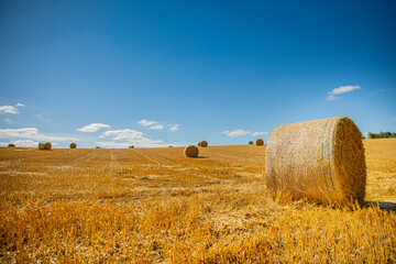 Meule de foin ou de paille en balle dans les champs de blé après les moissons.