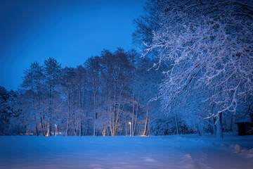 Winterlandschaft in der L&uuml;neburger Heide am fr&uuml;hen Morgen