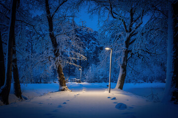 Winterlandschaft in der L&uuml;neburger Heide am fr&uuml;hen Morgen