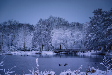 Winterlandschaft in der Lüneburger Heide am frühen Morgen