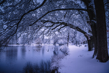 Winterlandschaft in der L&uuml;neburger Heide am fr&uuml;hen Morgen