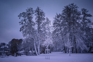 Winterlandschaft in der Lüneburger Heide am frühen Morgen