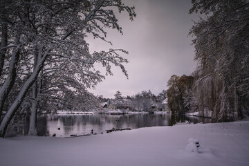 Winterlandschaft in der L&uuml;neburger Heide am fr&uuml;hen Morgen