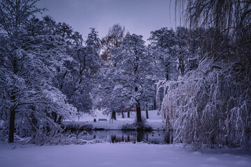 Winterlandschaft in der L&uuml;neburger Heide am fr&uuml;hen Morgen