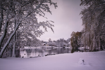 Winterlandschaft in der L&uuml;neburger Heide am fr&uuml;hen Morgen