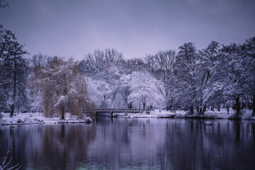 Winterlandschaft in der Lüneburger Heide am frühen Morgen