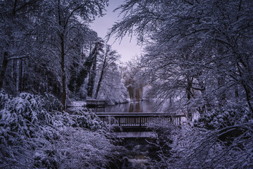 Winterlandschaft in der L&uuml;neburger Heide am fr&uuml;hen Morgen