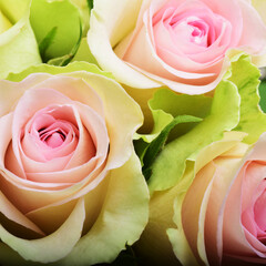 Pink light rose background flower - 580377533