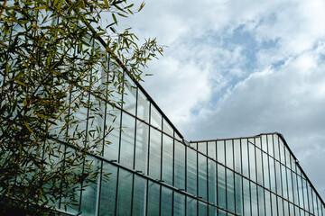 Glashaus mit Pflanzen von außen gesehen mit Himmel